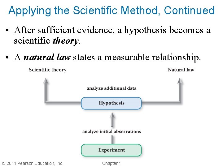 Applying the Scientific Method, Continued • After sufficient evidence, a hypothesis becomes a scientific