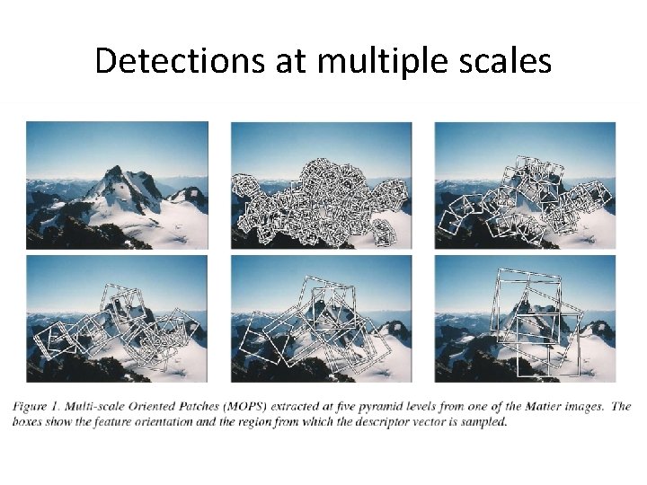 Detections at multiple scales Detections at multiple scales