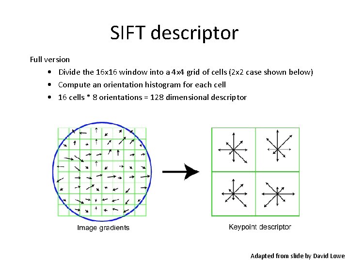 SIFT descriptor Full version • Divide the 16 x 16 window into a 4 SIFT descriptor Full version • Divide the 16 x 16 window into a 4