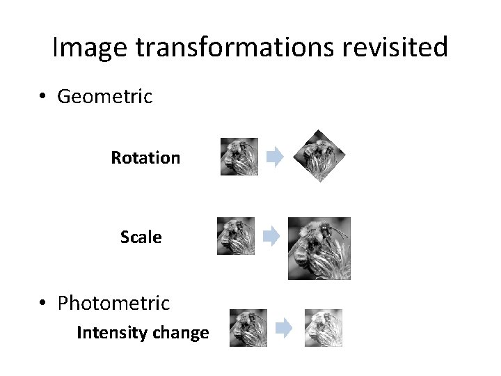 Image transformations revisited • Geometric Rotation Scale • Photometric Intensity change Image transformations revisited • Geometric Rotation Scale • Photometric Intensity change