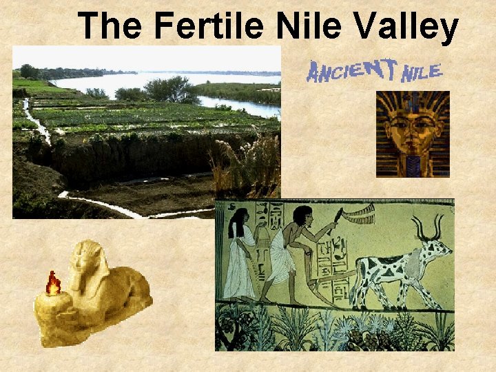 The Fertile Nile Valley 