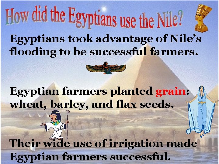 Egyptians took advantage of Nile’s flooding to be successful farmers. Egyptian farmers planted grain: