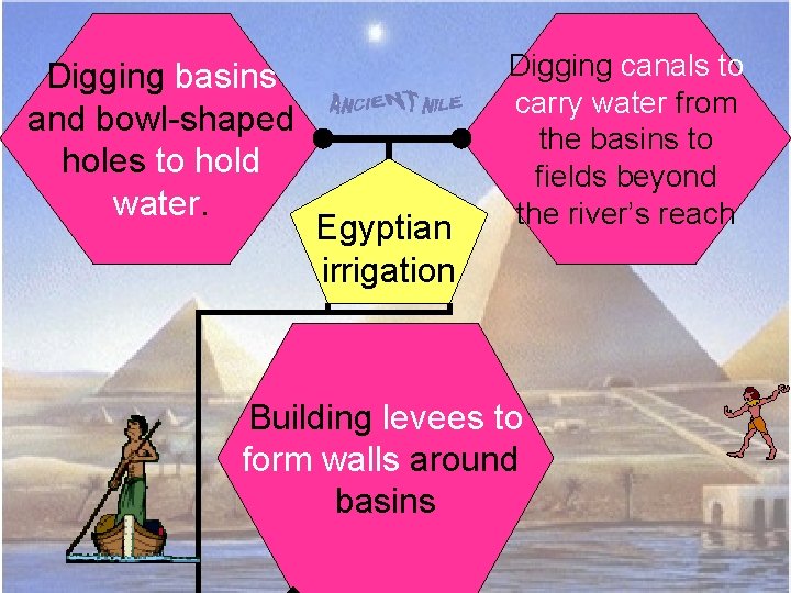 Digging basins and bowl-shaped holes to hold water. Egyptian irrigation Digging canals to carry