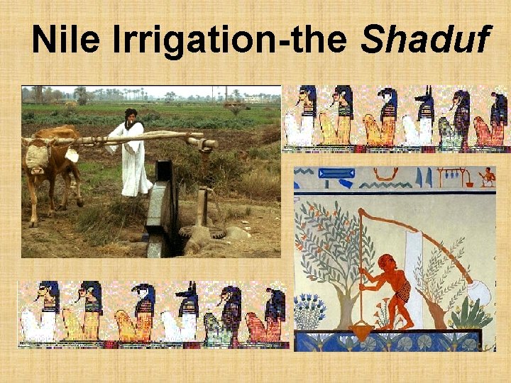 Nile Irrigation-the Shaduf 