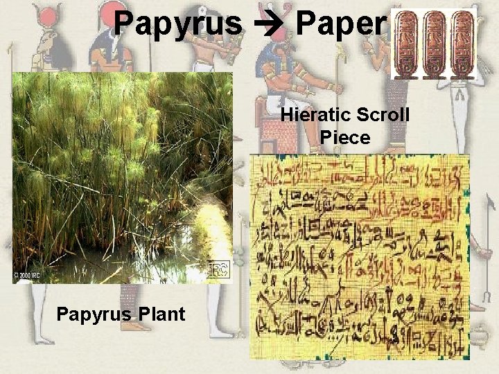 Papyrus Paper Hieratic Scroll Piece Papyrus Plant 