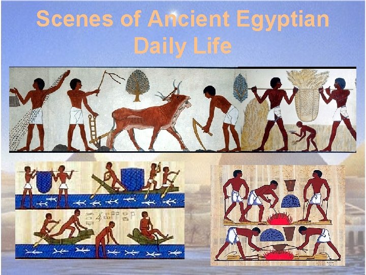 Scenes of Ancient Egyptian Daily Life 