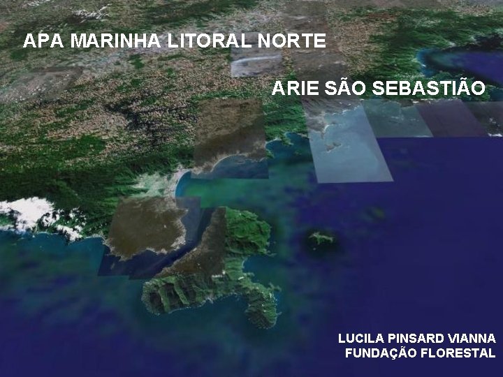 APA MARINHA LITORAL NORTE ARIE SÃO SEBASTIÃO LUCILA PINSARD VIANNA FUNDAÇÃO FLORESTAL 