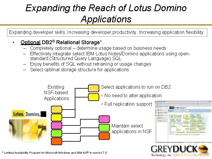 Expanding the Reach of Lotus Domino Applications Expanding developer skills. Increasing developer productivity. Increasing