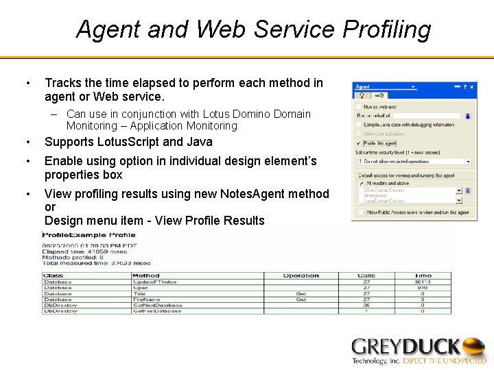 Agent and Web Service Profiling • Tracks the time elapsed to perform each method