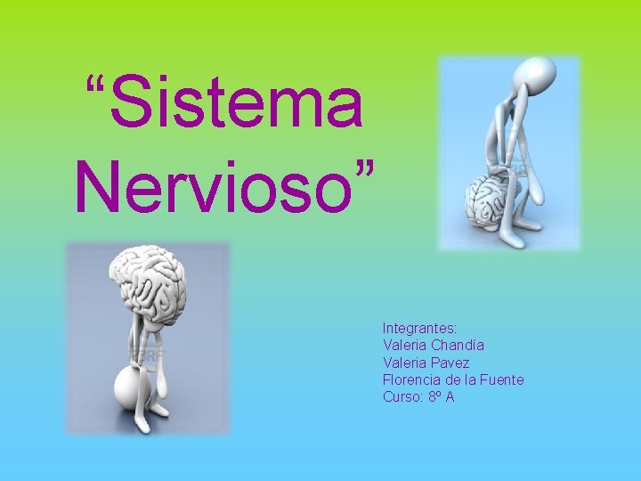 “Sistema Nervioso” Integrantes: Valeria Chandía Valeria Pavez Florencia de la Fuente Curso: 8º A