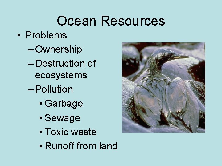Ocean Resources • Problems – Ownership – Destruction of ecosystems – Pollution • Garbage