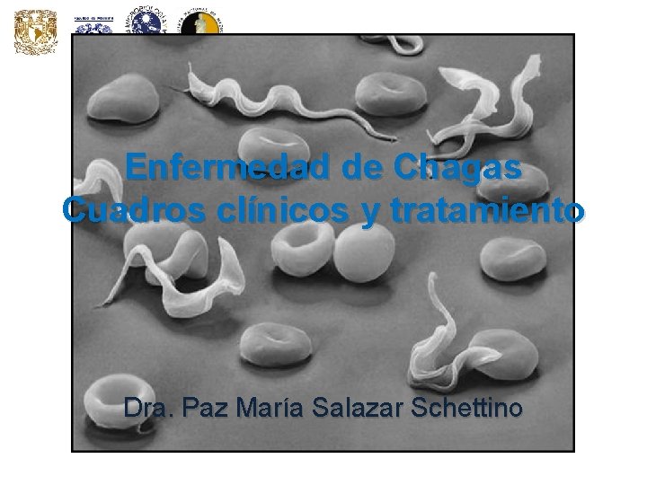 Enfermedad de Chagas Cuadros clínicos y tratamiento Dra. Paz María Salazar Schettino Enfermedad de Chagas Cuadros clínicos y tratamiento Dra. Paz María Salazar Schettino