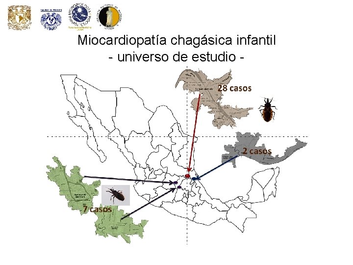 Miocardiopatía chagásica infantil - universo de estudio 28 casos Miocardiopatía chagásica infantil - universo de estudio 28 casos