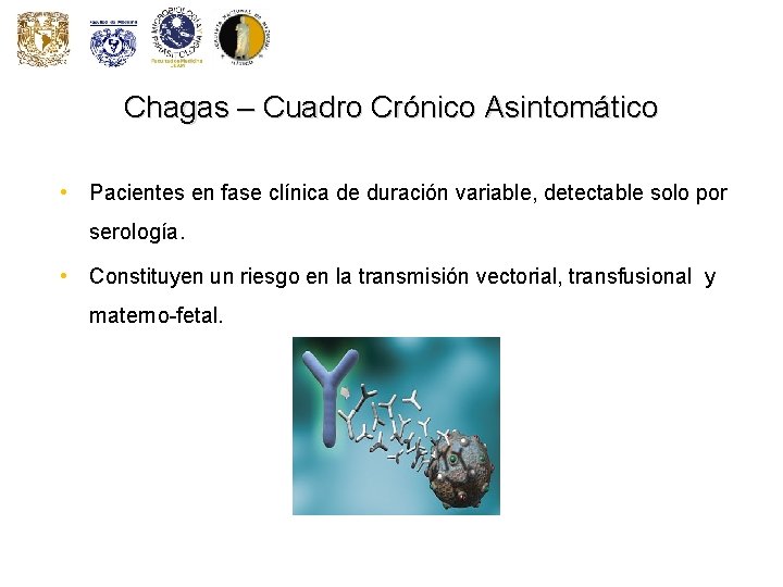 Chagas – Cuadro Crónico Asintomático • Pacientes en fase clínica de duración variable, detectable Chagas – Cuadro Crónico Asintomático • Pacientes en fase clínica de duración variable, detectable