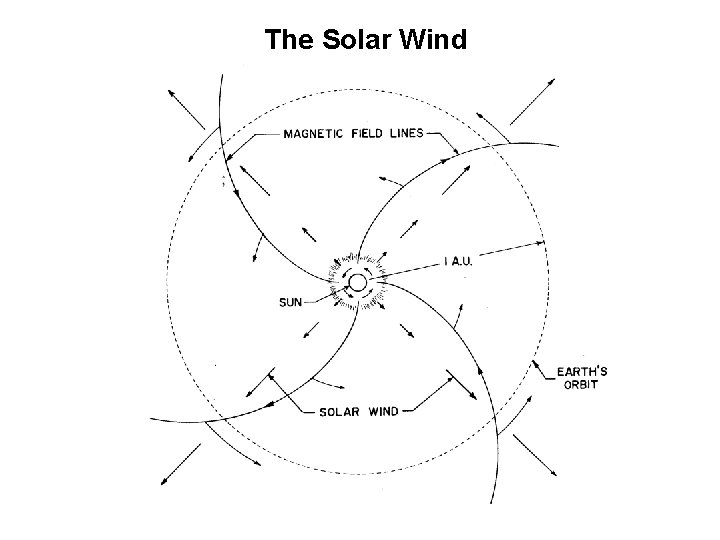 The Solar Wind 