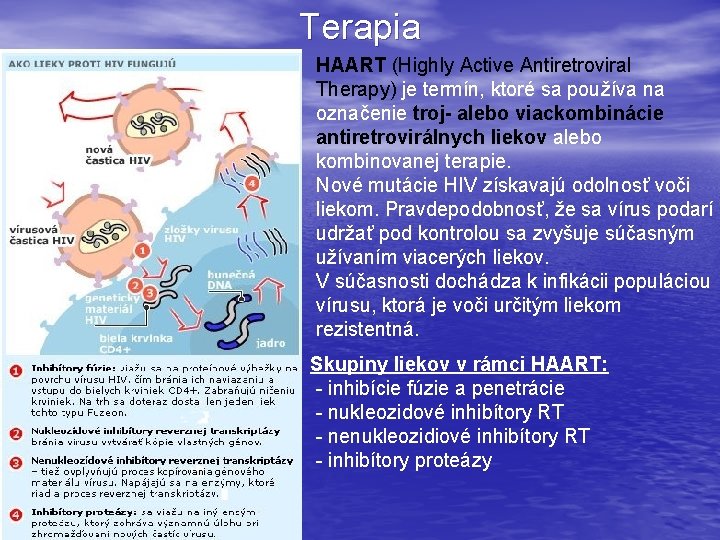 Terapia HAART (Highly Active Antiretroviral Therapy) je termín, ktoré sa používa na označenie troj-