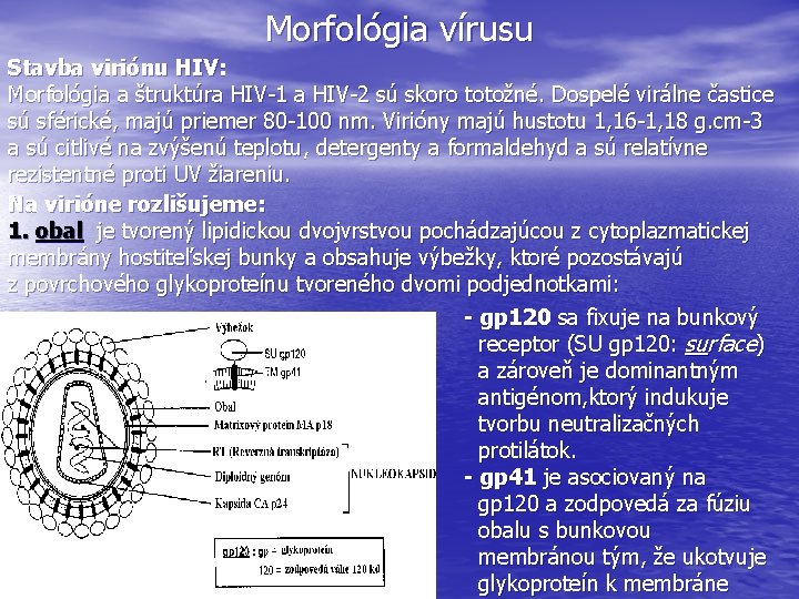 Morfológia vírusu Stavba viriónu HIV: Morfológia a štruktúra HIV-1 a HIV-2 sú skoro totožné.