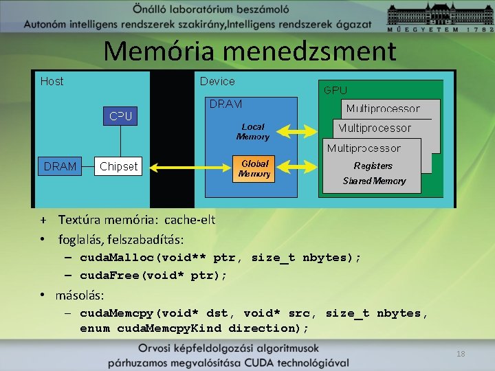 Memória menedzsment + Textúra memória: cache-elt • foglalás, felszabadítás: – cuda. Malloc(void** ptr, size_t