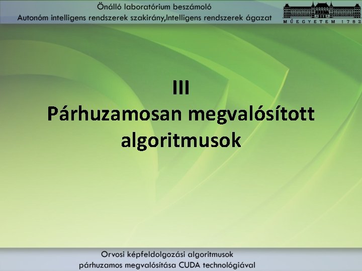 III Párhuzamosan megvalósított algoritmusok 