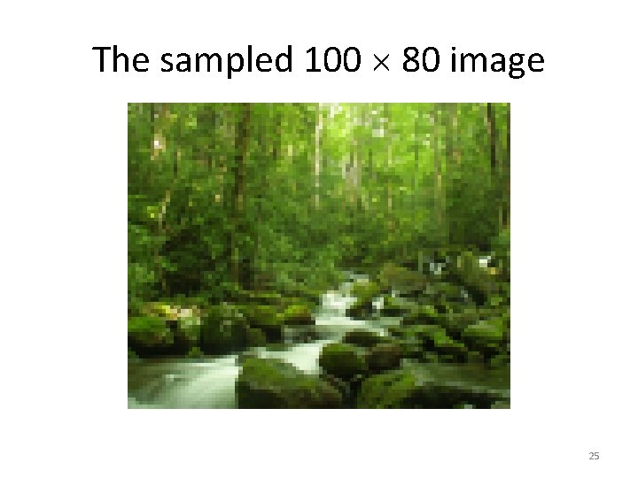 The sampled 100 80 image 25 