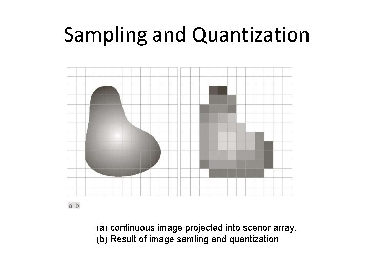 Sampling and Quantization (a) continuous image projected into scenor array. (b) Result of image