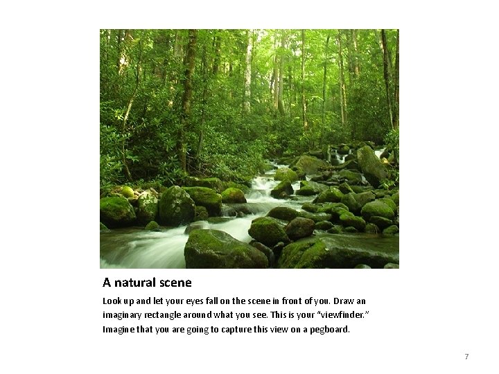 A natural scene Look up and let your eyes fall on the scene in