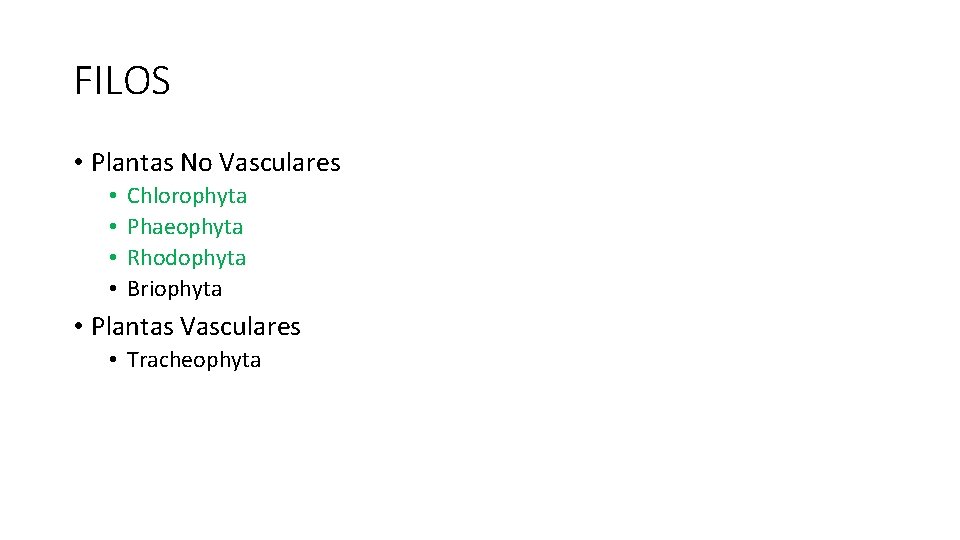 FILOS • Plantas No Vasculares • • Chlorophyta Phaeophyta Rhodophyta Briophyta • Plantas Vasculares
