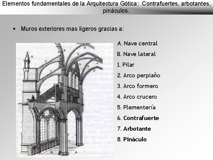 Elementos fundamentales de la Arquitectura Gótica: Contrafuertes, arbotantes, pináculos. § Muros exteriores mas ligeros