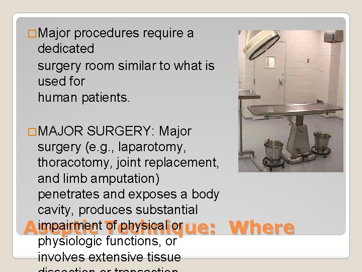 �Major procedures require a dedicated surgery room similar to what is used for human