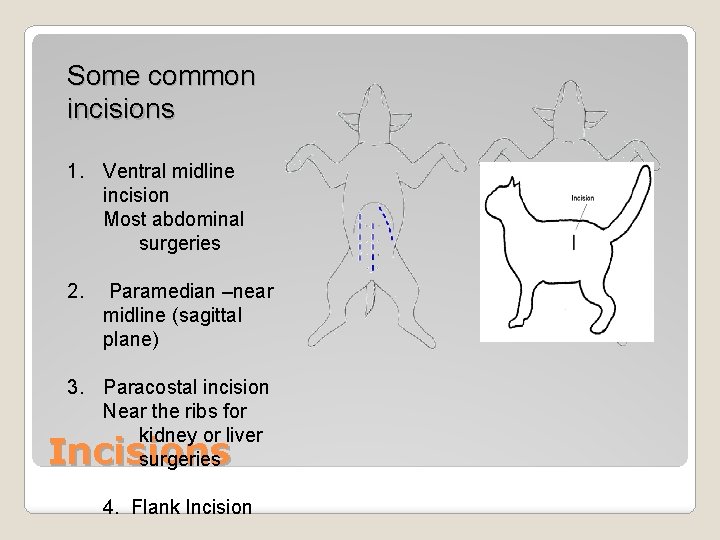 Some common incisions 1. Ventral midline incision Most abdominal surgeries 2. Paramedian –near midline