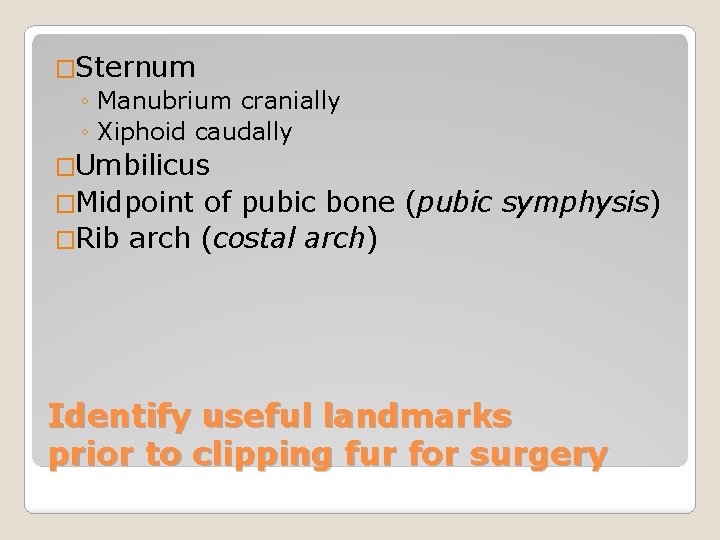 �Sternum ◦ Manubrium cranially ◦ Xiphoid caudally �Umbilicus �Midpoint of pubic bone (pubic �Rib