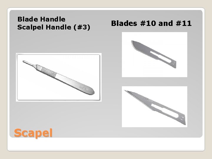 Blade Handle Scalpel Handle (#3) Scapel Blades #10 and #11 