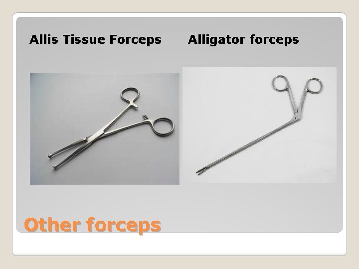 Allis Tissue Forceps Other forceps Alligator forceps 