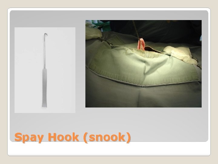 Spay Hook (snook) 