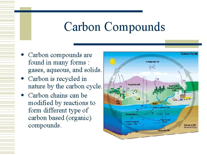 Carbon Compounds w Carbon compounds are found in many forms : gases, aqueous, and