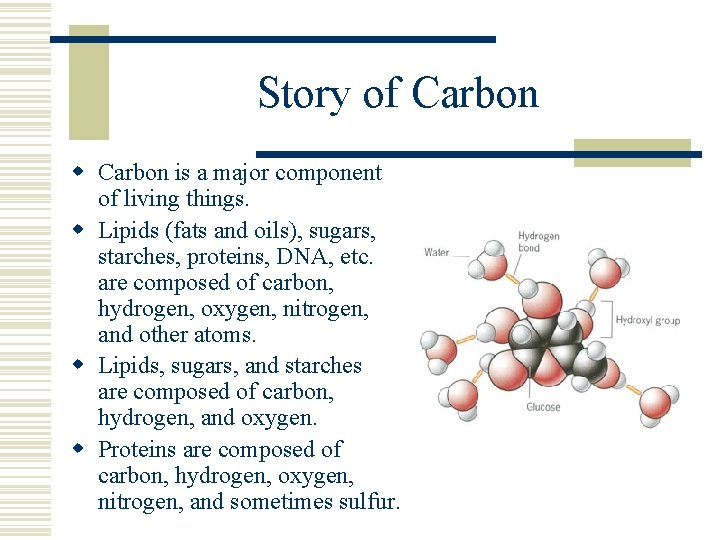 Story of Carbon w Carbon is a major component of living things. w Lipids