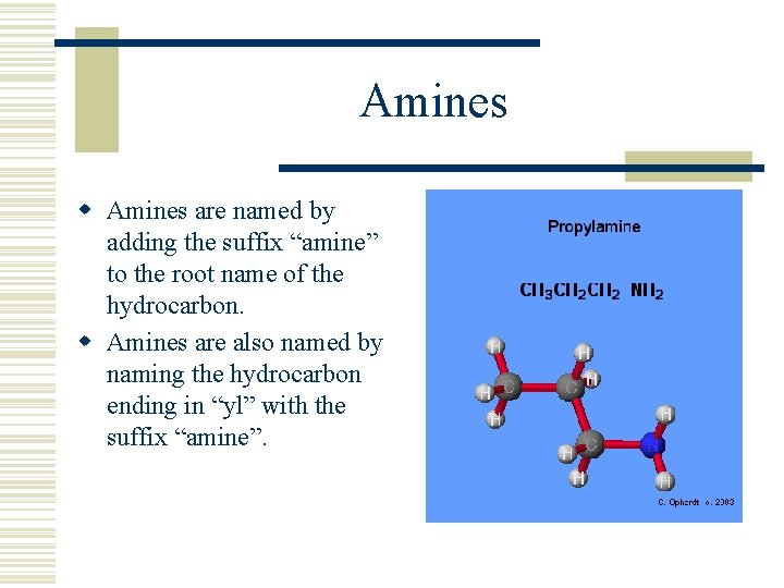 Amines w Amines are named by adding the suffix “amine” to the root name