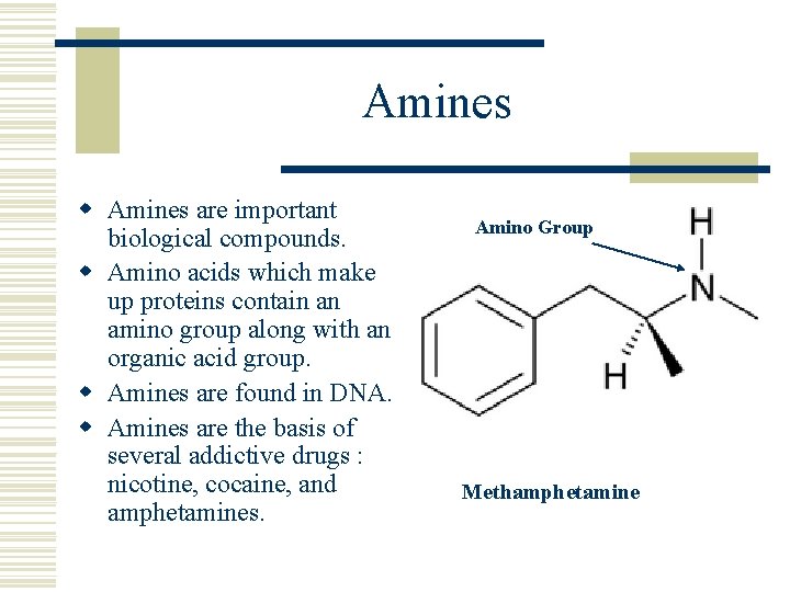 Amines w Amines are important biological compounds. w Amino acids which make up proteins