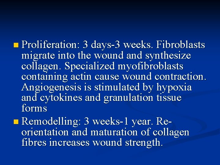 n Proliferation: 3 days-3 weeks. Fibroblasts migrate into the wound and synthesize collagen. Specialized
