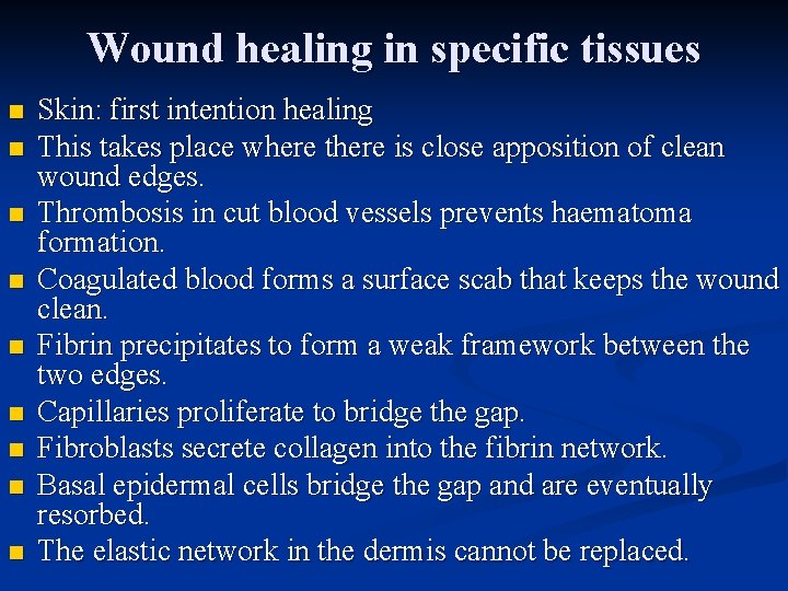 Wound healing in specific tissues n n n n n Skin: first intention healing