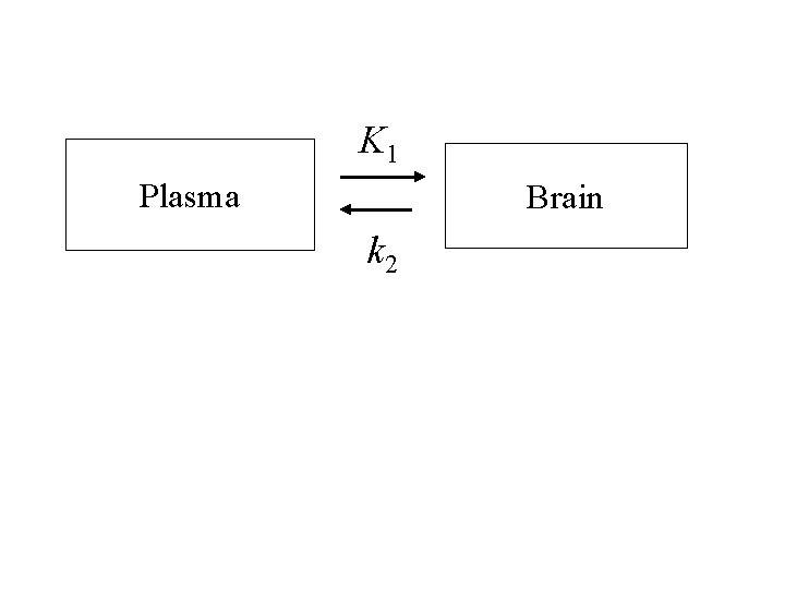K 1 Plasma Brain k 2 
