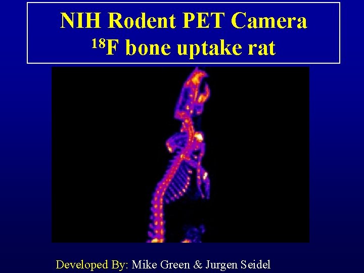NIH Rodent PET Camera 18 F bone uptake rat Developed By: Mike Green &