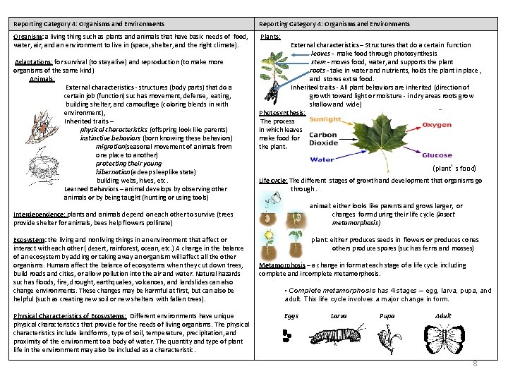 Reporting Category 4: Organisms and Environments Organism: a living thing such as plants and