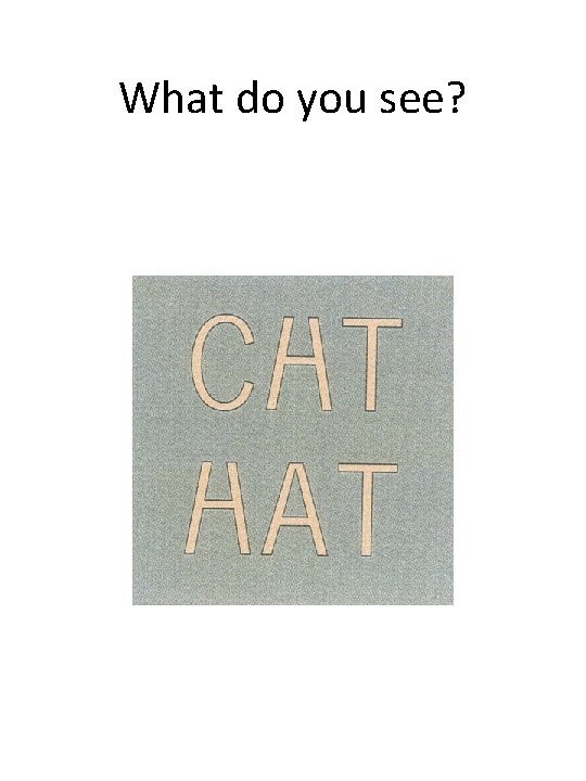 What do you see? 