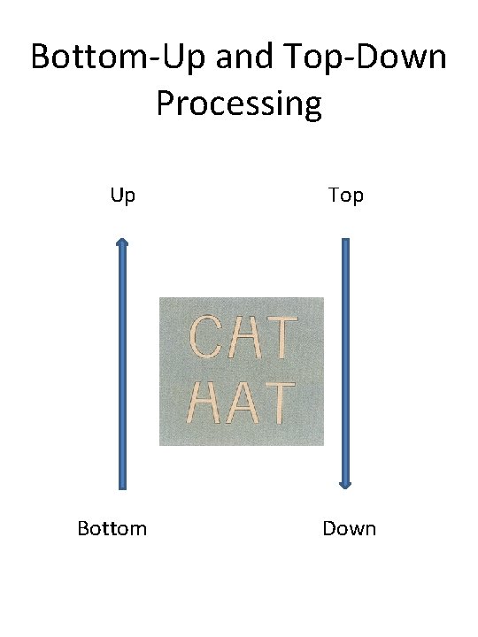 Bottom-Up and Top-Down Processing Up Bottom Top Down 