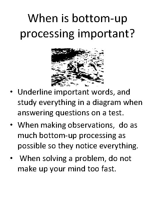 When is bottom-up processing important? • Underline important words, and study everything in a