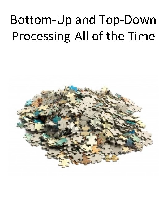 Bottom-Up and Top-Down Processing-All of the Time 