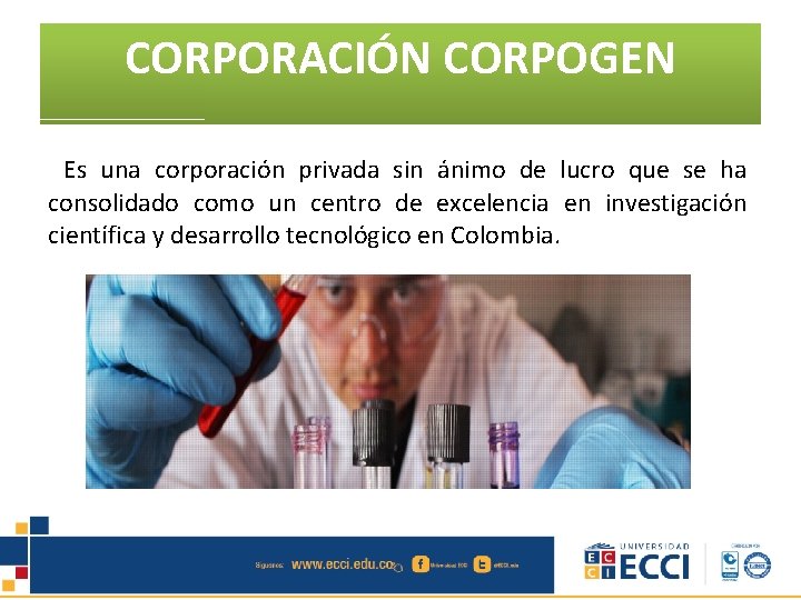 Presentacin Proyecto Innovador Sistema Nacional de Ciencia y