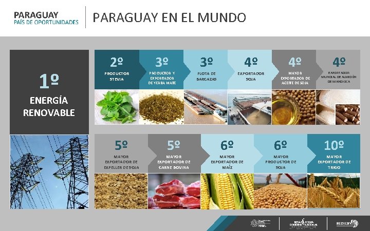 PARAGUAY EN EL MUNDO 1º 2º PRODUCTOR STEVIA 3º PRODUCTOR Y EXPORTADOR DE YERBA