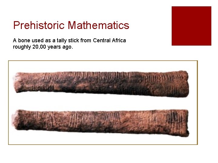 Prehistoric Mathematics A bone used as a tally stick from Central Africa roughly 20,